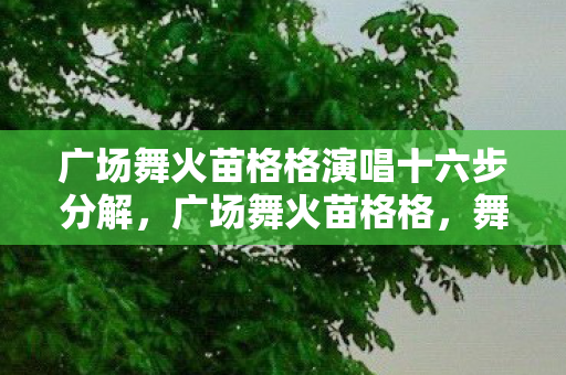 广场舞火苗格格演唱十六步分解，广场舞火苗格格，舞动生活的快乐音符