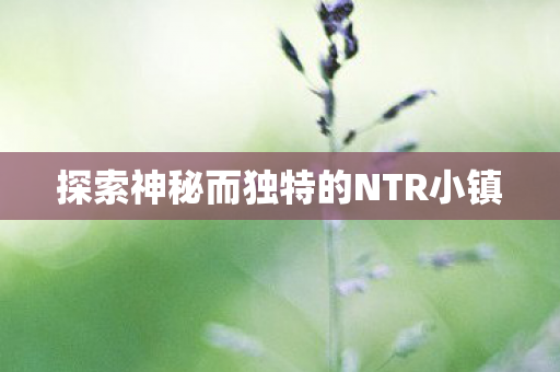 探索神秘而独特的NTR小镇