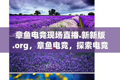 章鱼电竞现场直播.新新版.org，章鱼电竞，探索电竞新生态，引领数字娱乐新潮流