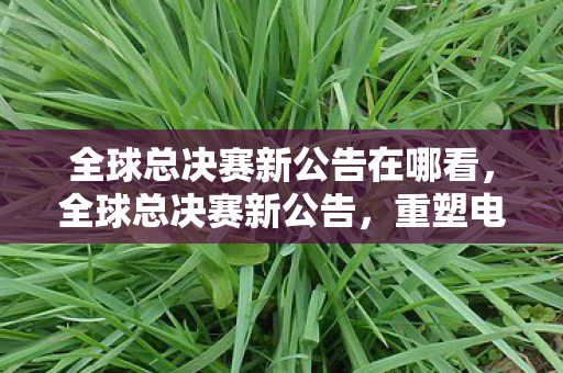 全球总决赛新公告在哪看，全球总决赛新公告，重塑电竞生态，捍卫官方权威