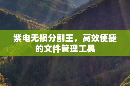 紫电无损分割王，高效便捷的文件管理工具