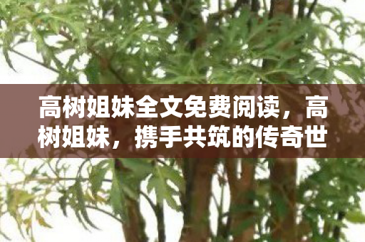 高树姐妹全文免费阅读，高树姐妹，携手共筑的传奇世界