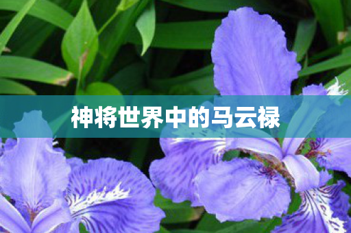 神将世界中的马云禄