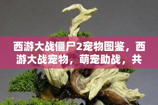 西游大战僵尸2宠物图鉴，西游大战宠物，萌宠助战，共闯西游新纪元