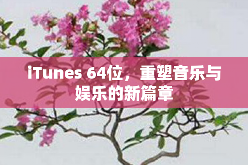 iTunes 64位，重塑音乐与娱乐的新篇章