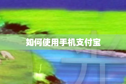 如何使用手机支付宝