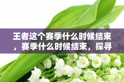 王者这个赛季什么时候结束，赛季什么时候结束，探寻游戏竞技的终点