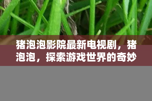 猪泡泡影院最新电视剧，猪泡泡，探索游戏世界的奇妙之旅