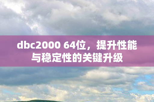 dbc2000 64位，提升性能与稳定性的关键升级