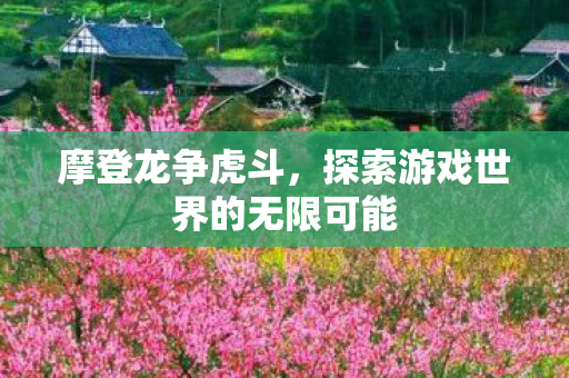 摩登龙争虎斗，探索游戏世界的无限可能