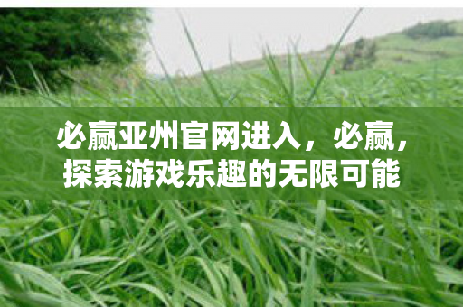 必赢亚州官网进入，必赢，探索游戏乐趣的无限可能