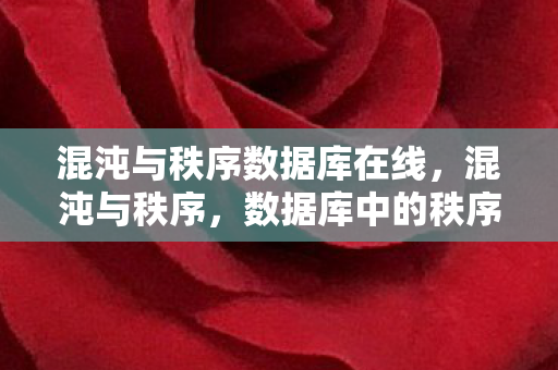 混沌与秩序数据库在线，混沌与秩序，数据库中的秩序之美