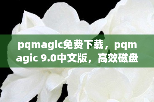 pqmagic免费下载，pqmagic 9.0中文版，高效磁盘管理工具，助力系统优化