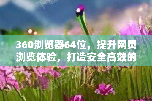 360浏览器64位，提升网页浏览体验，打造安全高效的网络环境
