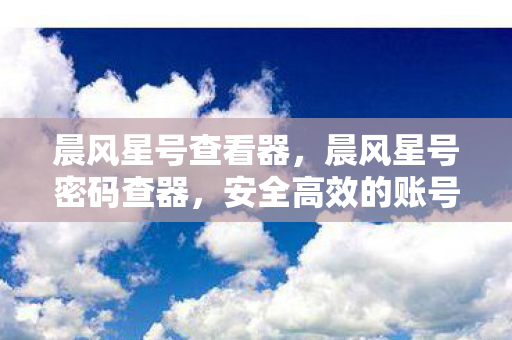 晨风星号查看器，晨风星号密码查器，安全高效的账号管理工具