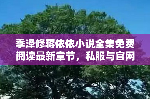 季泽修蒋依依小说全集免费阅读最新章节，私服与官网，游戏世界的平行线