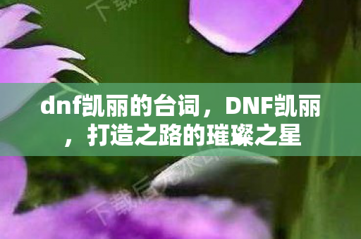 dnf凯丽的台词，DNF凯丽，打造之路的璀璨之星