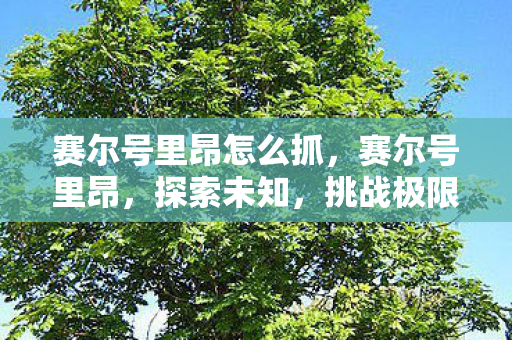 赛尔号里昂怎么抓，赛尔号里昂，探索未知，挑战极限