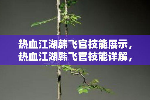 热血江湖韩飞官技能展示，热血江湖韩飞官技能详解，飞燕逐月与龙吟虎啸