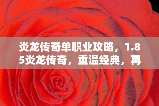 炎龙传奇单职业攻略，1.85炎龙传奇，重温经典，再燃激情