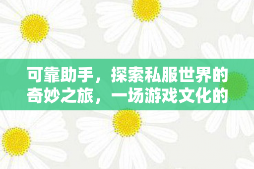 可靠助手，探索私服世界的奇妙之旅，一场游戏文化的深度剖析