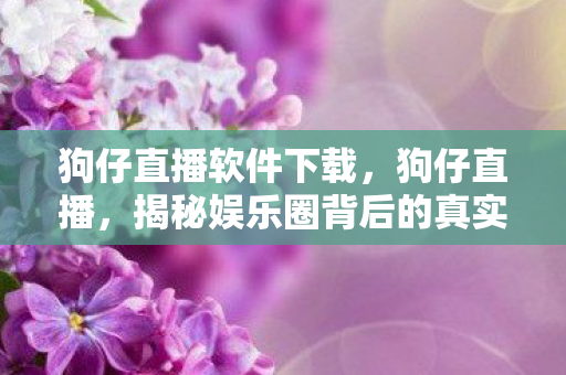 狗仔直播软件下载，狗仔直播，揭秘娱乐圈背后的真实故事