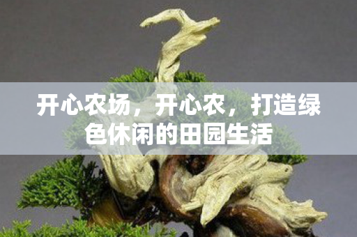 开心农场，开心农，打造绿色休闲的田园生活