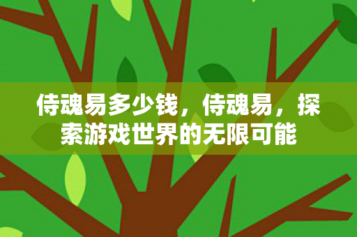 侍魂易多少钱，侍魂易，探索游戏世界的无限可能