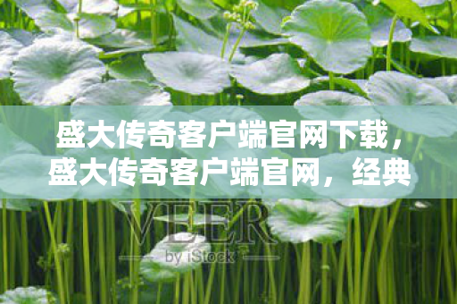 盛大传奇客户端官网下载，盛大传奇客户端官网，经典再现，传奇永恒