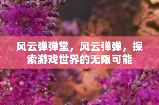 风云弹弹堂，风云弹弹，探索游戏世界的无限可能