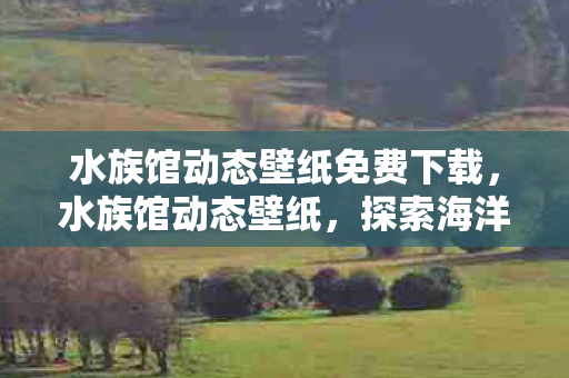水族馆动态壁纸免费下载，水族馆动态壁纸，探索海洋的梦幻之旅
