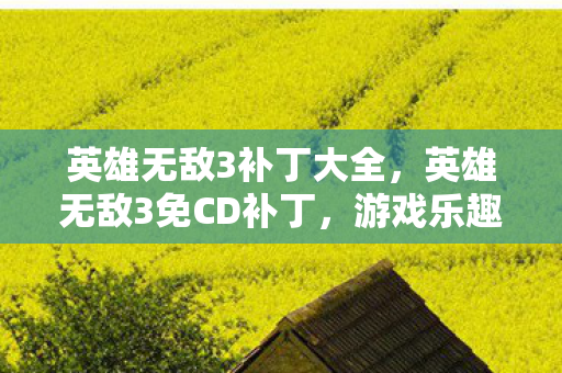 英雄无敌3补丁大全，英雄无敌3免CD补丁，游戏乐趣的守护者还是版权争议的阴影？