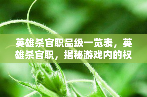 英雄杀官职品级一览表，英雄杀官职，揭秘游戏内的权力与荣耀