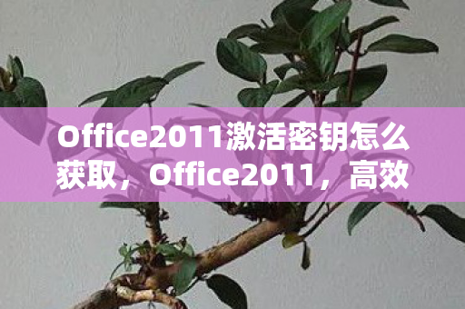 Office2011激活密钥怎么获取，Office2011，高效办公的得力助手