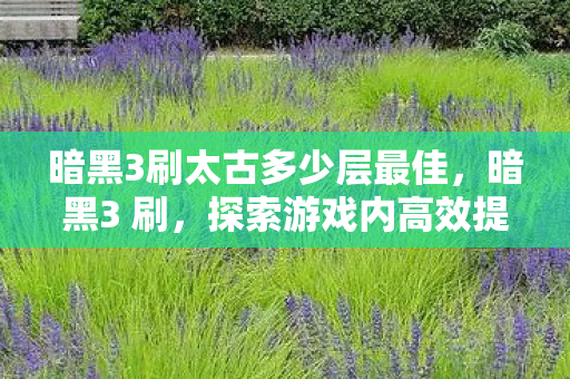 暗黑3刷太古多少层最佳，暗黑3 刷，探索游戏内高效提升与策略