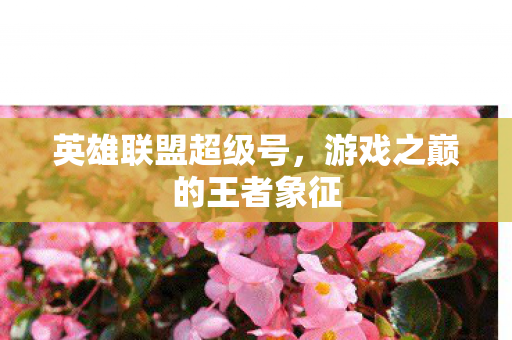 英雄联盟超级号,游戏之巅的王者象征 英雄联盟超级号,游戏之巅的王者象征