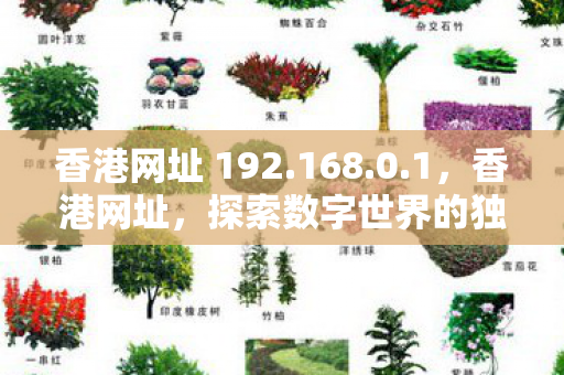 香港网址 192.168.0.1，香港网址，探索数字世界的独特门户