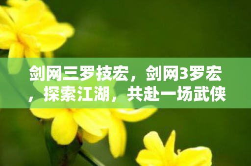 剑网三罗技宏，剑网3罗宏，探索江湖，共赴一场武侠盛宴