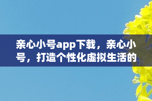 亲心小号app下载，亲心小号，打造个性化虚拟生活的秘密武器
