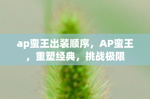 ap蛮王出装顺序，AP蛮王，重塑经典，挑战极限