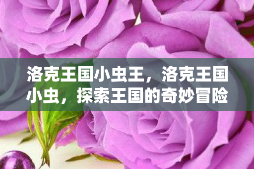 洛克王国小虫王，洛克王国小虫，探索王国的奇妙冒险