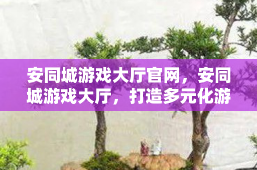 安同城游戏大厅官网，安同城游戏大厅，打造多元化游戏娱乐新体验