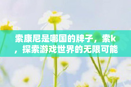 索康尼是哪国的牌子，索k，探索游戏世界的无限可能