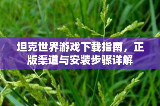 坦克世界游戏下载指南，正版渠道与安装步骤详解
