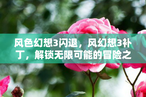 风色幻想3闪退，风幻想3补丁，解锁无限可能的冒险之旅