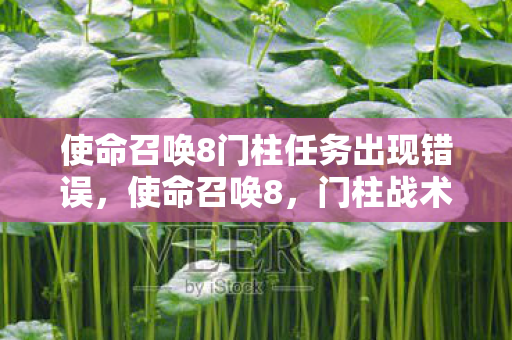 使命召唤8门柱任务出现错误，使命召唤8，门柱战术的奥秘