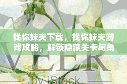 找你妹夫下载，找你妹夫游戏攻略，解锁隐藏关卡与角色全解析