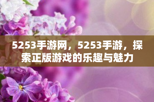 5253手游网，5253手游，探索正版游戏的乐趣与魅力