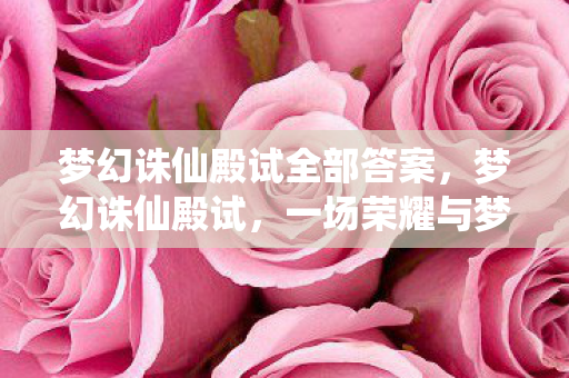 梦幻诛仙殿试全部答案，梦幻诛仙殿试，一场荣耀与梦想的试炼