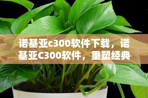 诺基亚c300软件下载，诺基亚C300软件，重塑经典，引领智能新体验